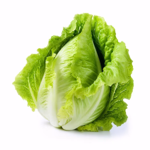 Lechuga Criolla – unidad