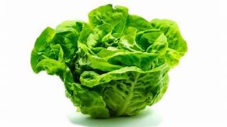 Lechuga (hoja)